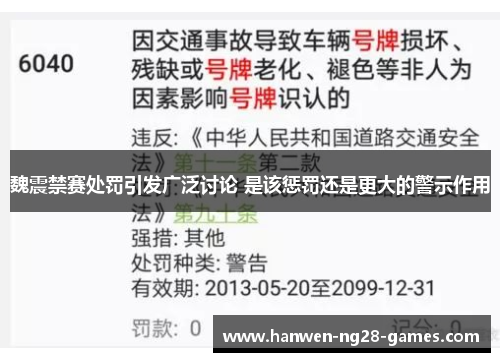 魏震禁赛处罚引发广泛讨论 是该惩罚还是更大的警示作用