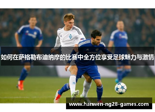 如何在萨格勒布迪纳摩的比赛中全方位享受足球魅力与激情