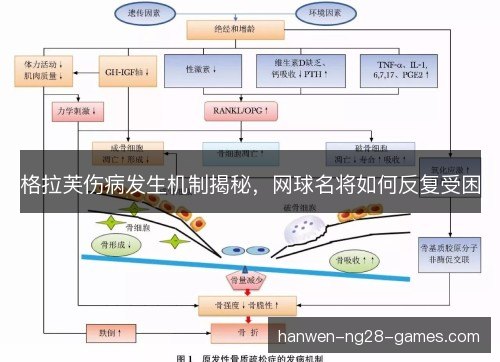 格拉芙伤病发生机制揭秘，网球名将如何反复受困