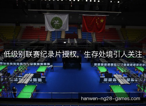 低级别联赛纪录片授权，生存处境引人关注